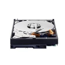 HD Interno 500GB Sata III WD5000AAKX Western Digital